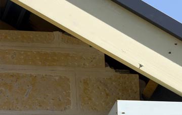 soffit repair Irelands Cross